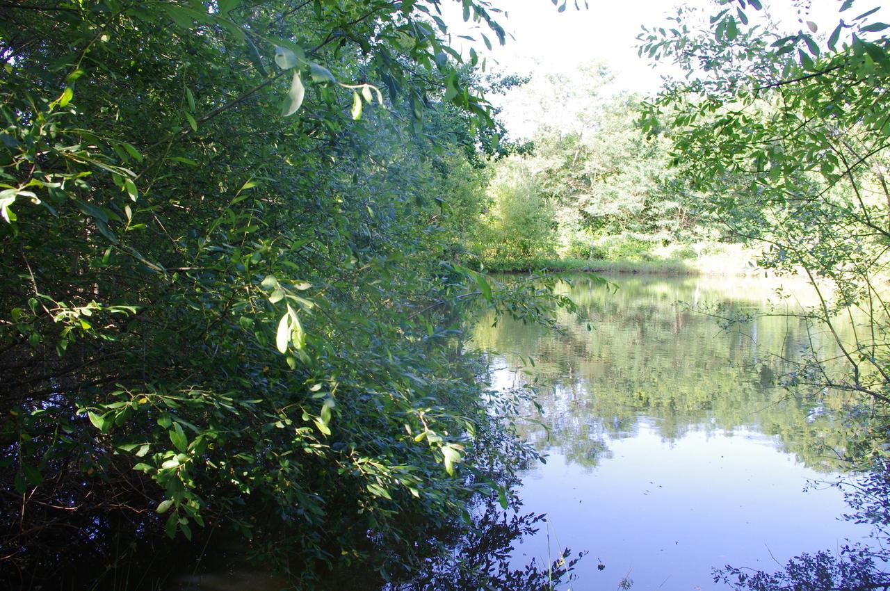 Bed and Breakfast Domaine De Potofayol Lacropte Zewnętrze zdjęcie